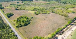 Taylor County Mini Farms