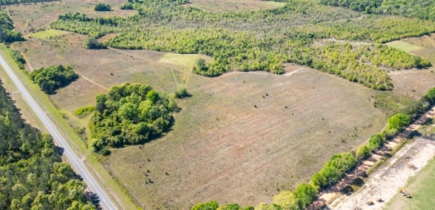 Taylor County Mini Farms