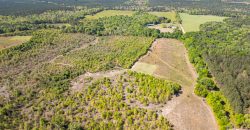 Taylor County Mini Farms