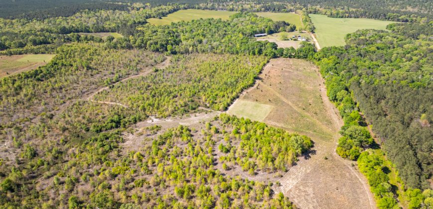 Taylor County Mini Farms