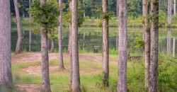 Sweetwater Creek Plantation