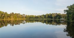 Sweetwater Creek Plantation