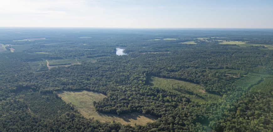 Sweetwater Creek Plantation
