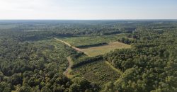 Sweetwater Creek Plantation