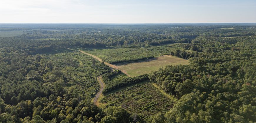 Sweetwater Creek Plantation