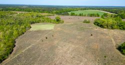 Taylor County Mini Farms