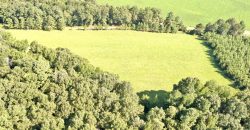 Macon County Mini Farm