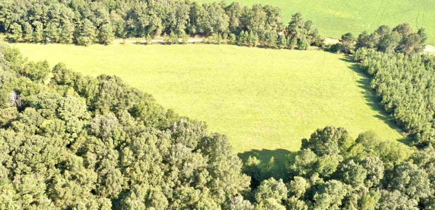 Macon County Mini Farm