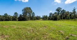 Whitewater Creek Aviation Farm