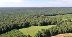 Macon County Mini Farm