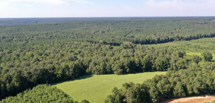 Macon County Mini Farm