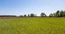 Taylor County Mini Farms
