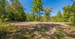 Whitewater Creek Aviation Farm