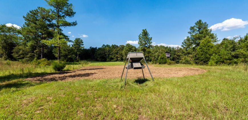 Whitewater Creek Aviation Farm