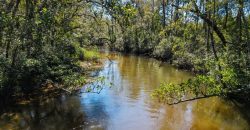 Whitewater Creek Aviation Farm