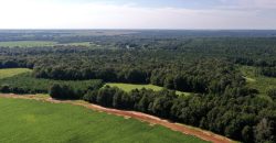Macon County Mini Farm