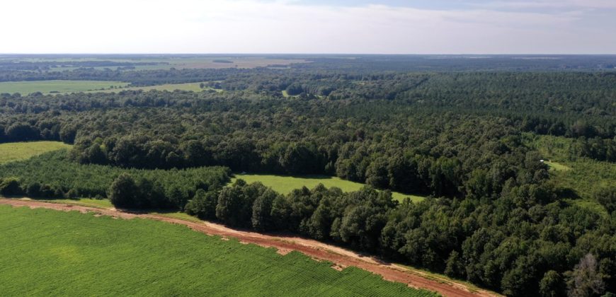 Macon County Mini Farm