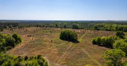 Taylor County Mini Farms