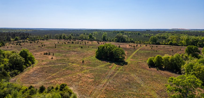 Taylor County Mini Farms