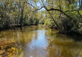 Whitewater Creek Aviation Farm