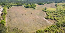 Taylor County Mini Farms