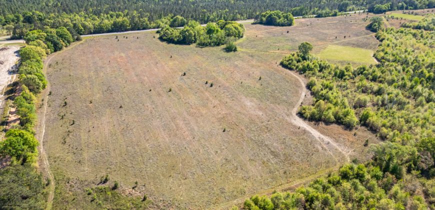 Taylor County Mini Farms