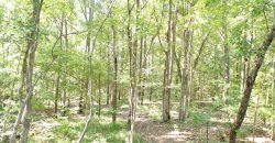Macon County Mini Farm