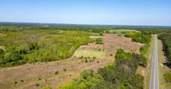 Taylor County Mini Farms