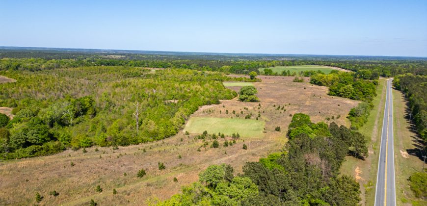Taylor County Mini Farms