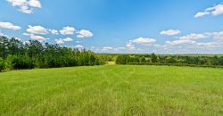 Whitewater Creek Aviation Farm