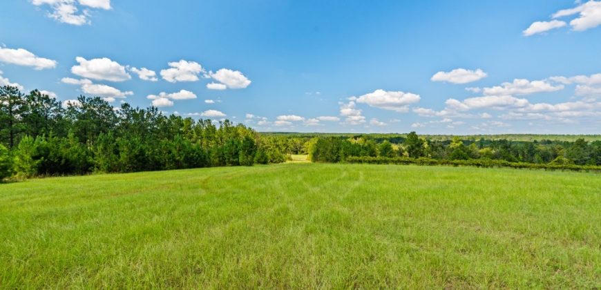 Whitewater Creek Aviation Farm
