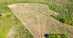 Taylor County Mini Farms