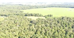 Macon County Mini Farm