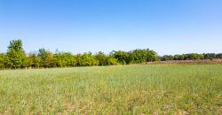 Taylor County Mini Farms
