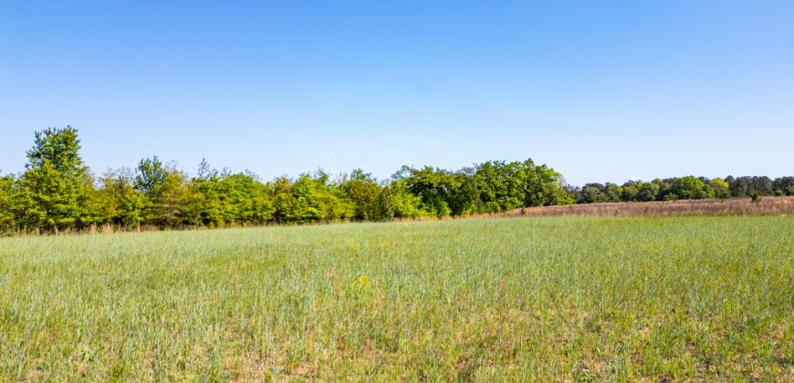 Taylor County Mini Farms