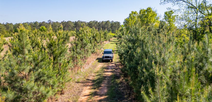 Taylor County Mini Farms