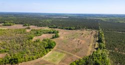 Taylor County Mini Farms