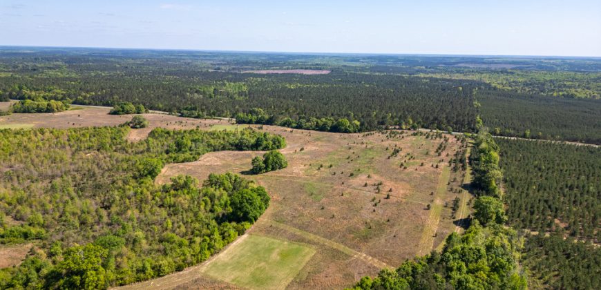 Taylor County Mini Farms