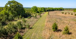 Taylor County Mini Farms