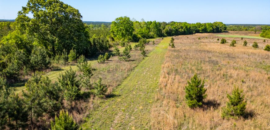 Taylor County Mini Farms