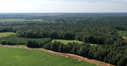 Macon County Mini Farm
