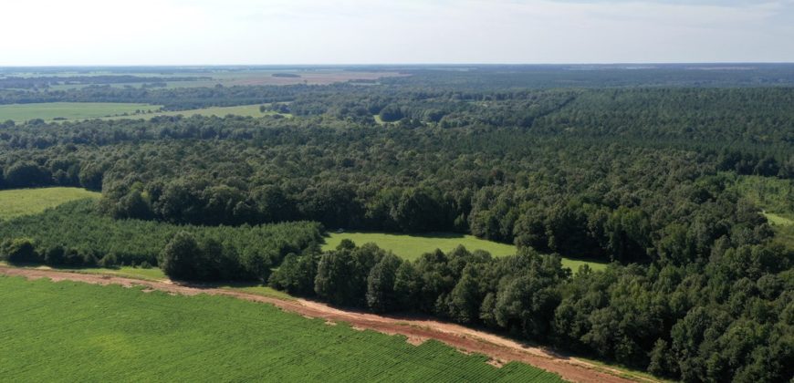 Macon County Mini Farm
