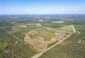 Taylor County Mini Farms