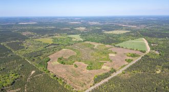 Taylor County Mini Farms