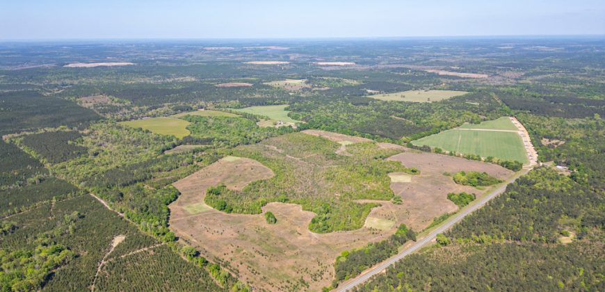 Taylor County Mini Farms