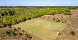 Taylor County Mini Farms