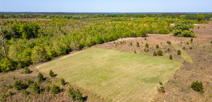 Taylor County Mini Farms