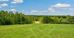 Whitewater Creek Aviation Farm