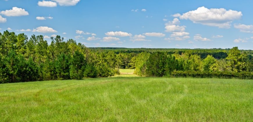 Whitewater Creek Aviation Farm
