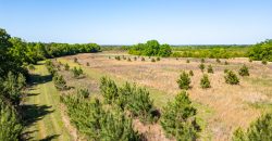 Taylor County Mini Farms